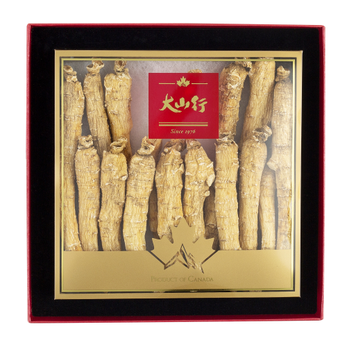 NHÂN SÂM CỦ DÀI - 89